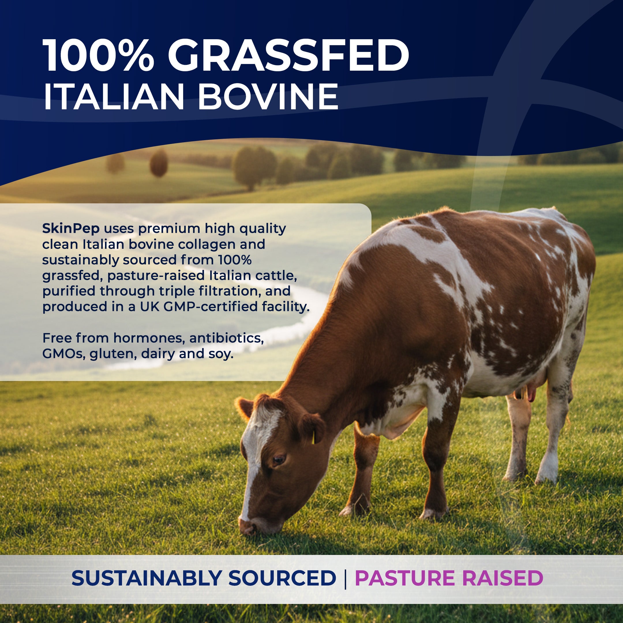 Collagen Peptides Powder | Organic Grass-Fed Bovine Hydrolysate | 2000 Dalton | 400mg Vitamin C | SkinPep