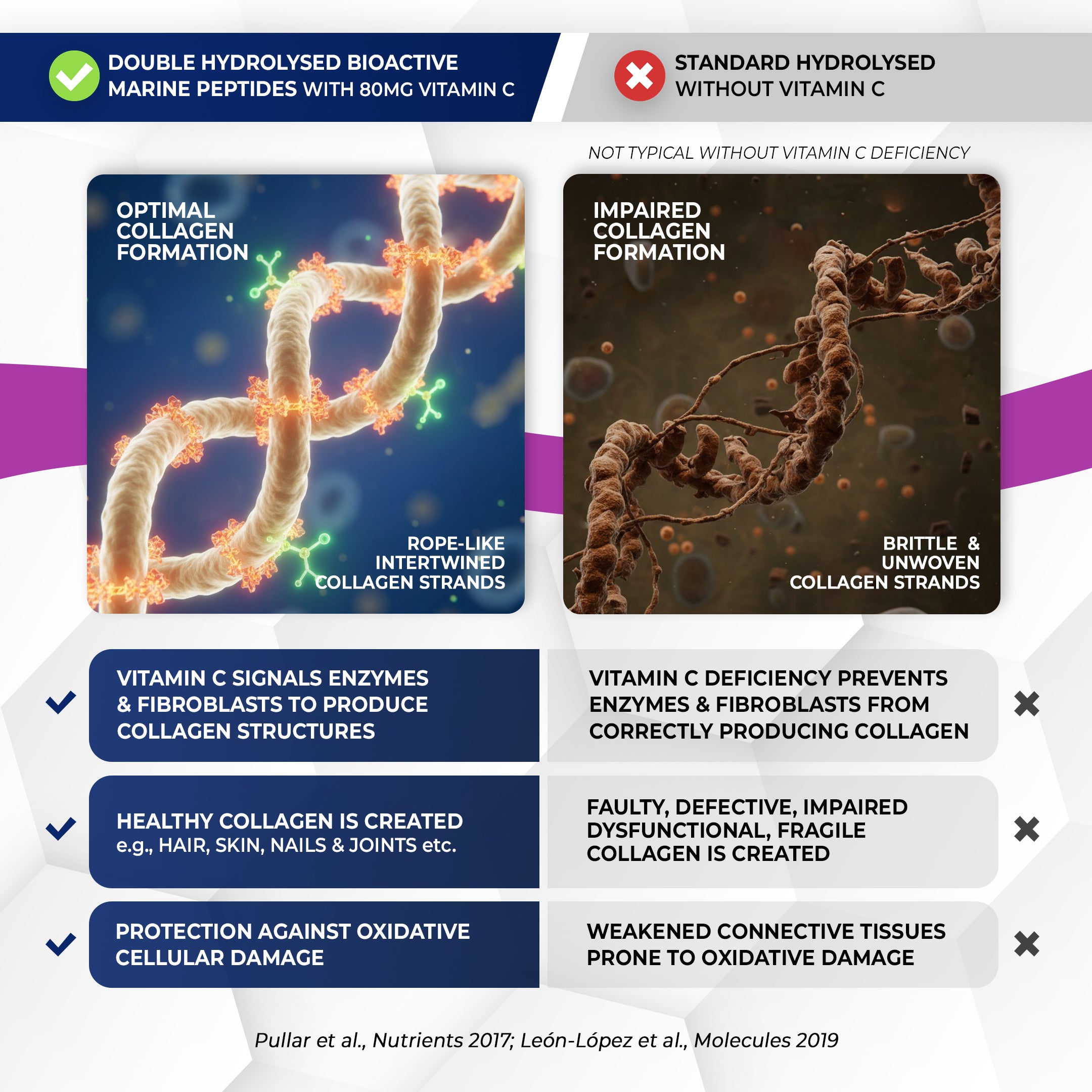 Marine Collagen Peptides Capsules | Wild Caught | Bioactive 1500 Daltons | Hyaluronic Acid | Vitamin C | Clean & Pure | No Fillers & Binders | Collagen Supplements For Women & Men | SkinPep V2