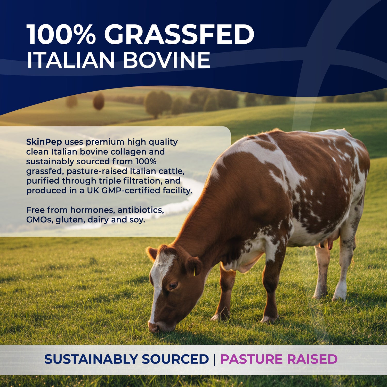 Collagen Peptides Powder | Organic Grass-Fed Bovine Hydrolysate | 2000 Dalton | 400mg Vitamin C | SkinPep