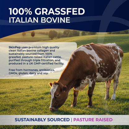 Ultra Purified Collagen Peptide Complex Capsules | 2000 Dalton Bioactive Vitamin C Enhanced Synthesis |Triple Filtered, Double Hydrolysed | Grass Fed Bovine Collagen Supplement For Women &amp; Men | SkinPep