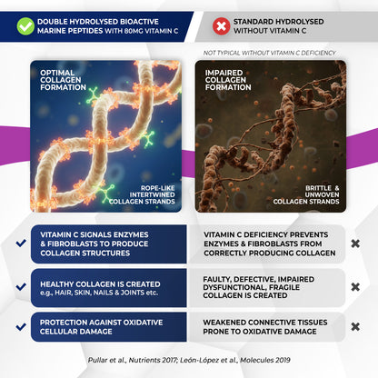 Marine Collagen Peptides Capsules | Wild Caught | Bioactive 1500 Daltons | Hyaluronic Acid | Vitamin C | Clean &amp; Pure | No Fillers &amp; Binders | Collagen Supplements For Women &amp; Men | SkinPep V2