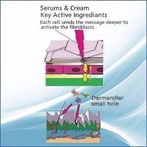 Derma Roller For Face - 540 Titanium &amp; Gold Micro Needles 0.3mm - 3.0mm By SkinPep®
