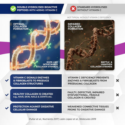 Collagen Peptides Powder | Organic Grass-Fed Bovine Hydrolysate | 2000 Dalton | 400mg Vitamin C | SkinPep